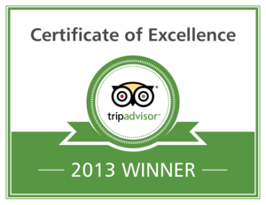 Excellence-Badge_2013_en.png