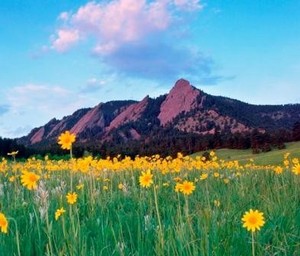 Corporate Housing Boulder Co Furnished Apartment Rentals